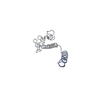 8812_5wda_F_v1-2
Structure of the PulG pseudopilus