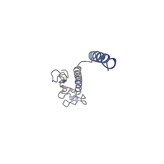 8812_5wda_G_v1-2
Structure of the PulG pseudopilus
