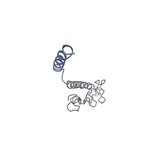8812_5wda_H_v1-2
Structure of the PulG pseudopilus