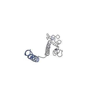 8812_5wda_I_v1-2
Structure of the PulG pseudopilus