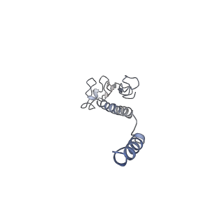 8812_5wda_J_v1-2
Structure of the PulG pseudopilus