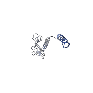 8812_5wda_K_v1-2
Structure of the PulG pseudopilus