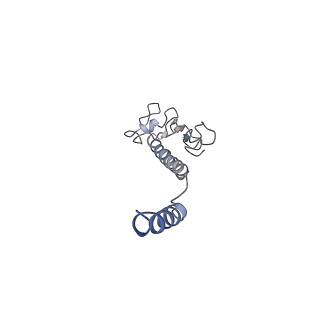 8812_5wda_N_v1-2
Structure of the PulG pseudopilus