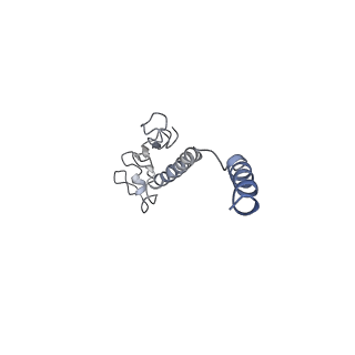 8812_5wda_O_v1-2
Structure of the PulG pseudopilus