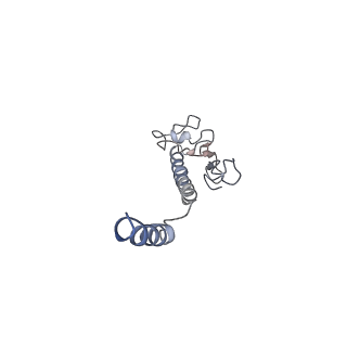 8812_5wda_R_v1-2
Structure of the PulG pseudopilus