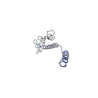 8812_5wda_S_v1-2
Structure of the PulG pseudopilus