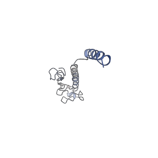 8812_5wda_T_v1-2
Structure of the PulG pseudopilus