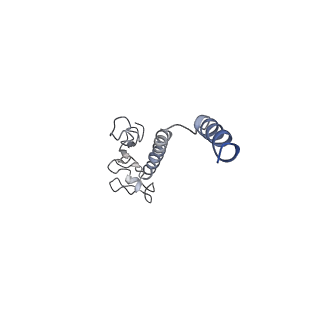 8812_5wda_X_v1-2
Structure of the PulG pseudopilus