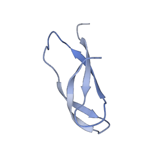 8813_5wdt_1_v1-4
70S ribosome-EF-Tu H84A complex with GppNHp