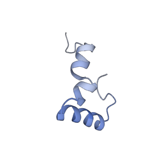 8813_5wdt_2_v1-4
70S ribosome-EF-Tu H84A complex with GppNHp