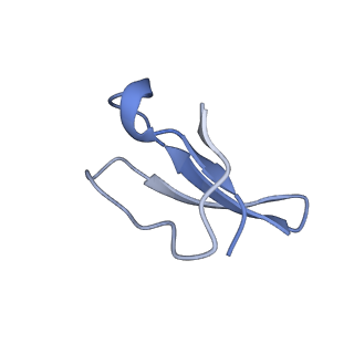 8813_5wdt_4_v1-4
70S ribosome-EF-Tu H84A complex with GppNHp