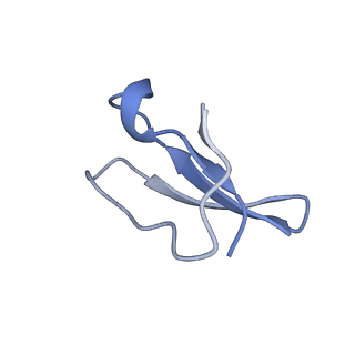 8813_5wdt_4_v2-2
70S ribosome-EF-Tu H84A complex with GppNHp