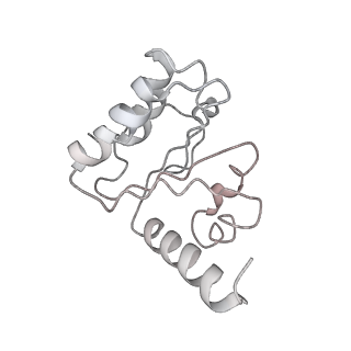 8813_5wdt_5_v1-4
70S ribosome-EF-Tu H84A complex with GppNHp