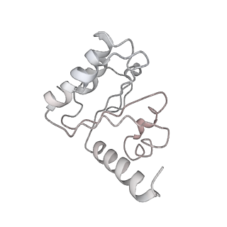 8813_5wdt_5_v2-1
70S ribosome-EF-Tu H84A complex with GppNHp