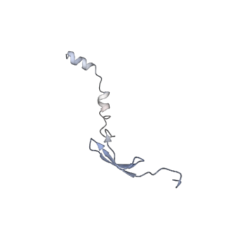 8813_5wdt_6_v1-4
70S ribosome-EF-Tu H84A complex with GppNHp