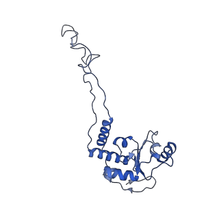 8813_5wdt_E_v1-4
70S ribosome-EF-Tu H84A complex with GppNHp