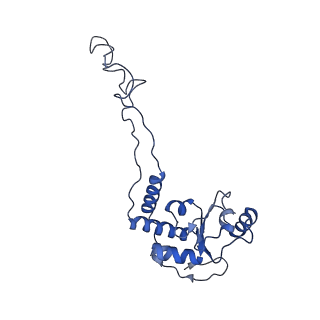 8813_5wdt_E_v2-1
70S ribosome-EF-Tu H84A complex with GppNHp