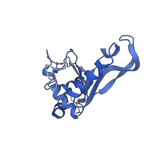 8813_5wdt_F_v1-4
70S ribosome-EF-Tu H84A complex with GppNHp