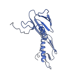 8813_5wdt_G_v1-4
70S ribosome-EF-Tu H84A complex with GppNHp
