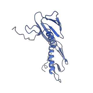 8813_5wdt_G_v2-2
70S ribosome-EF-Tu H84A complex with GppNHp