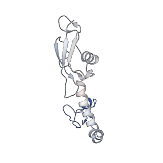 8813_5wdt_H_v1-4
70S ribosome-EF-Tu H84A complex with GppNHp