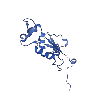 8813_5wdt_J_v1-4
70S ribosome-EF-Tu H84A complex with GppNHp