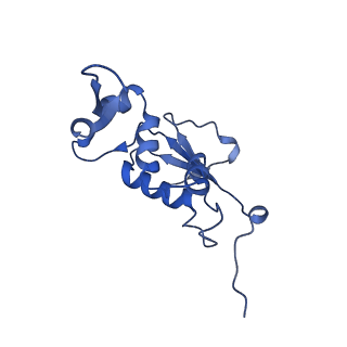 8813_5wdt_J_v2-1
70S ribosome-EF-Tu H84A complex with GppNHp