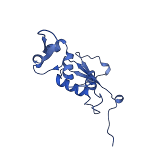 8813_5wdt_J_v2-2
70S ribosome-EF-Tu H84A complex with GppNHp