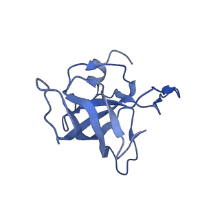 8813_5wdt_K_v1-4
70S ribosome-EF-Tu H84A complex with GppNHp
