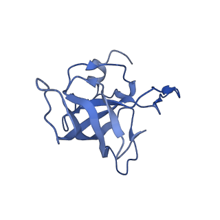 8813_5wdt_K_v2-2
70S ribosome-EF-Tu H84A complex with GppNHp