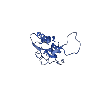 8813_5wdt_M_v2-2
70S ribosome-EF-Tu H84A complex with GppNHp