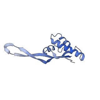 8813_5wdt_S_v1-4
70S ribosome-EF-Tu H84A complex with GppNHp