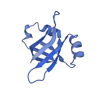 8813_5wdt_V_v1-4
70S ribosome-EF-Tu H84A complex with GppNHp