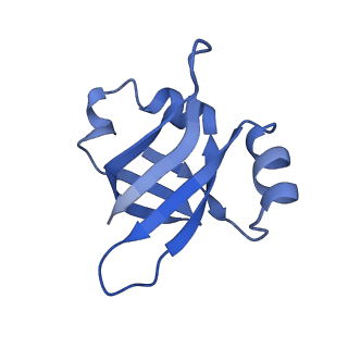 8813_5wdt_V_v2-1
70S ribosome-EF-Tu H84A complex with GppNHp