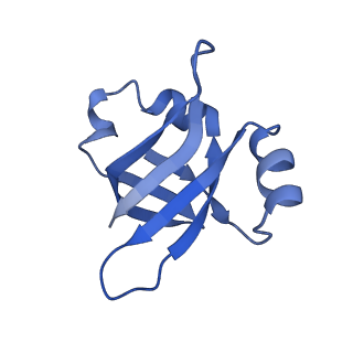 8813_5wdt_V_v2-2
70S ribosome-EF-Tu H84A complex with GppNHp