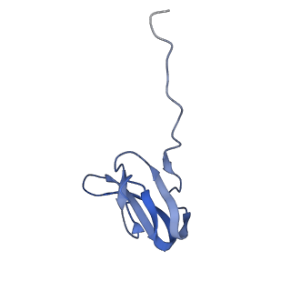 8813_5wdt_W_v2-2
70S ribosome-EF-Tu H84A complex with GppNHp