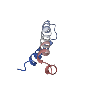 8813_5wdt_Y_v1-4
70S ribosome-EF-Tu H84A complex with GppNHp