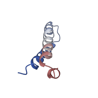 8813_5wdt_Y_v2-1
70S ribosome-EF-Tu H84A complex with GppNHp