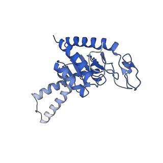 8813_5wdt_b_v1-4
70S ribosome-EF-Tu H84A complex with GppNHp