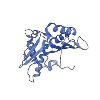 8813_5wdt_c_v1-4
70S ribosome-EF-Tu H84A complex with GppNHp