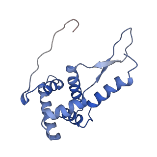 8813_5wdt_g_v1-4
70S ribosome-EF-Tu H84A complex with GppNHp