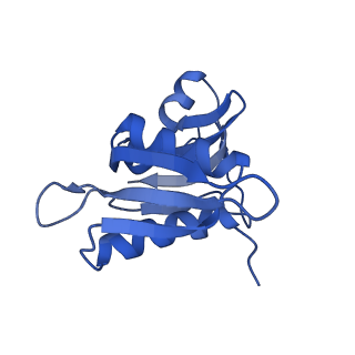 8813_5wdt_h_v2-2
70S ribosome-EF-Tu H84A complex with GppNHp