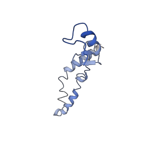 8813_5wdt_n_v2-2
70S ribosome-EF-Tu H84A complex with GppNHp