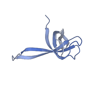8813_5wdt_q_v1-4
70S ribosome-EF-Tu H84A complex with GppNHp