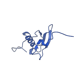 8813_5wdt_s_v1-4
70S ribosome-EF-Tu H84A complex with GppNHp