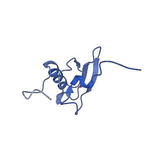 8813_5wdt_s_v2-1
70S ribosome-EF-Tu H84A complex with GppNHp