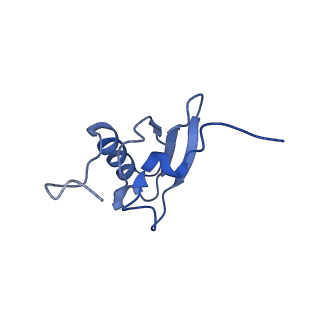 8813_5wdt_s_v2-2
70S ribosome-EF-Tu H84A complex with GppNHp