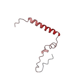 8813_5wdt_u_v2-2
70S ribosome-EF-Tu H84A complex with GppNHp