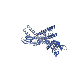 21649_6wej_A_v1-2
Structure of cGMP-unbound WT TAX-4 reconstituted in lipid nanodiscs