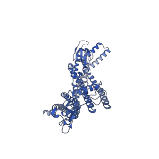 21650_6wek_A_v1-2
Structure of cGMP-bound WT TAX-4 reconstituted in lipid nanodiscs
